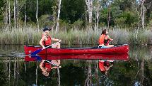 Noosa Everglades - Cruise N Canoe Day Tour